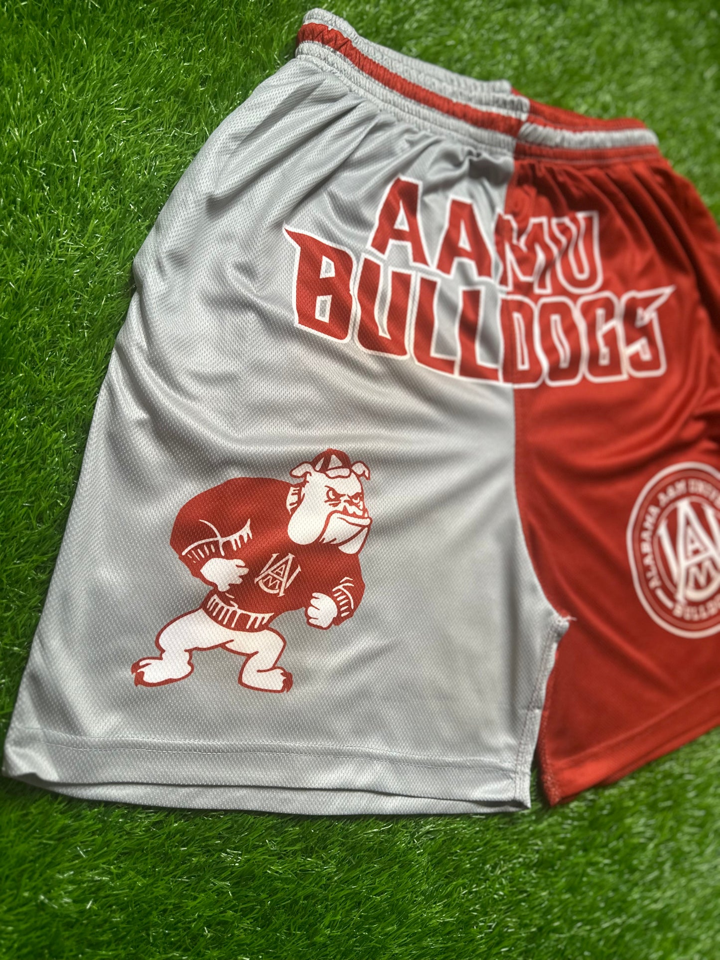 Halftime College Shorts
