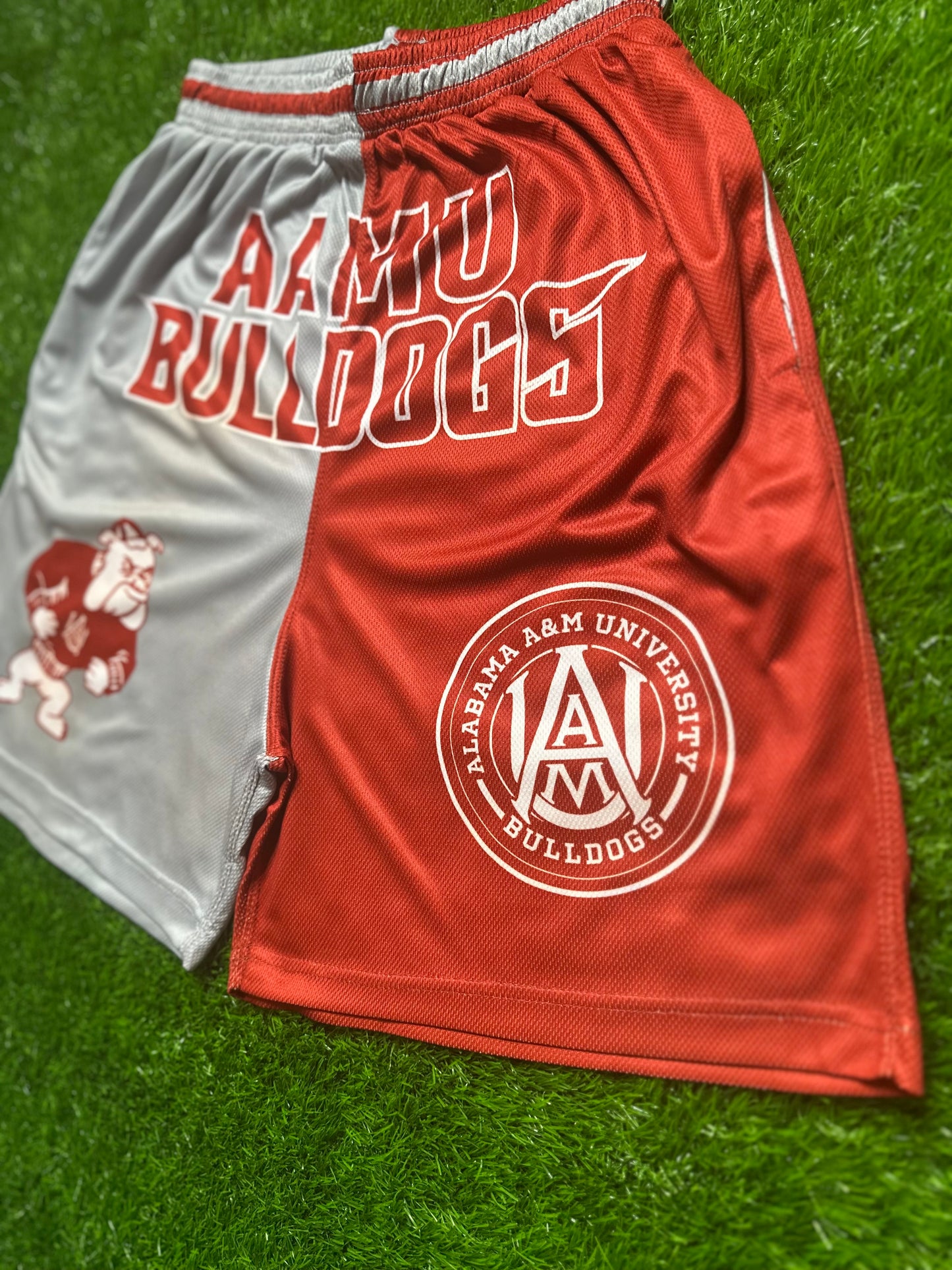 Halftime College Shorts