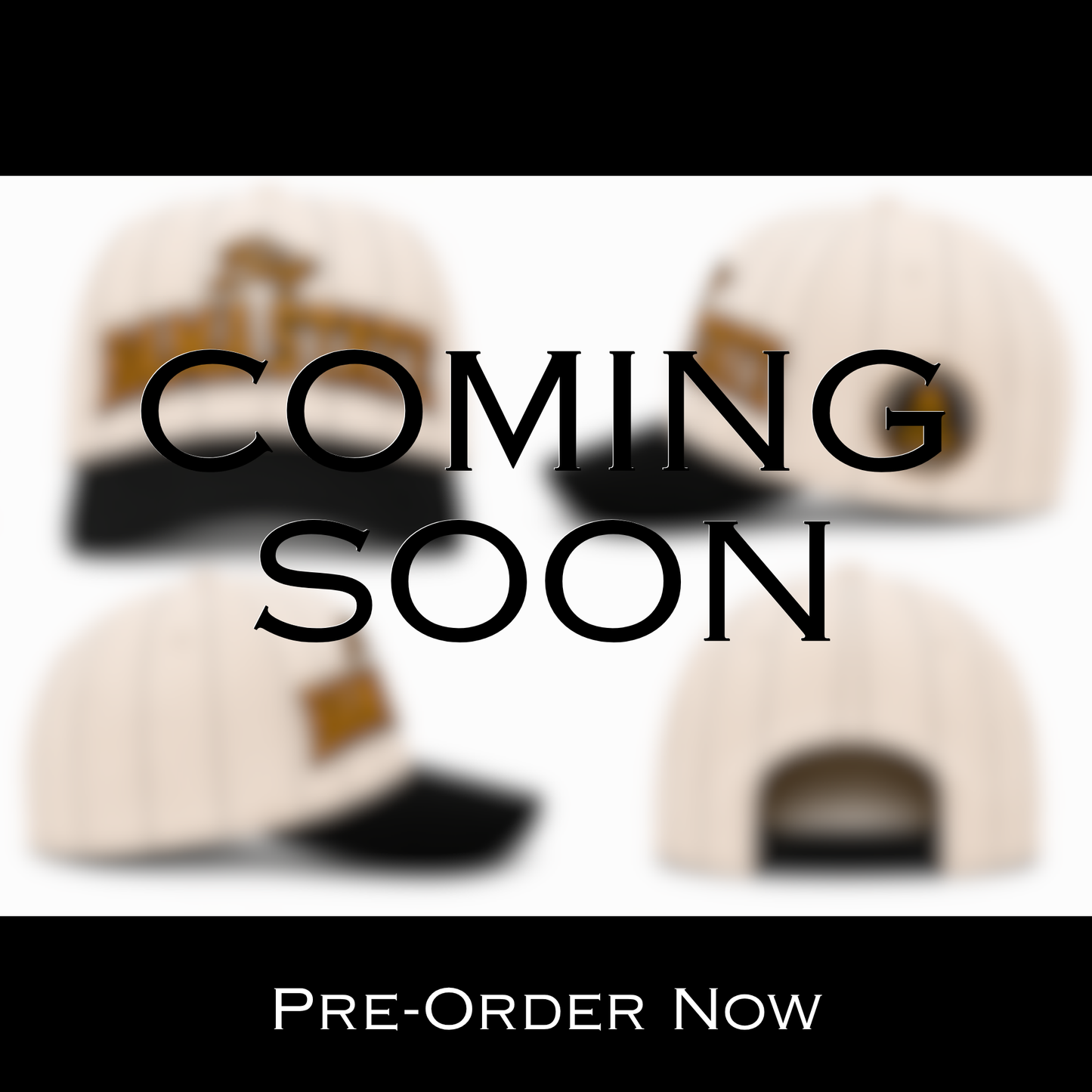 BIG BAMA STATE PINSTRIPE SNAPBACK HAT