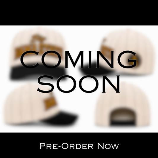 BIG BAMA STATE PINSTRIPE SNAPBACK HAT