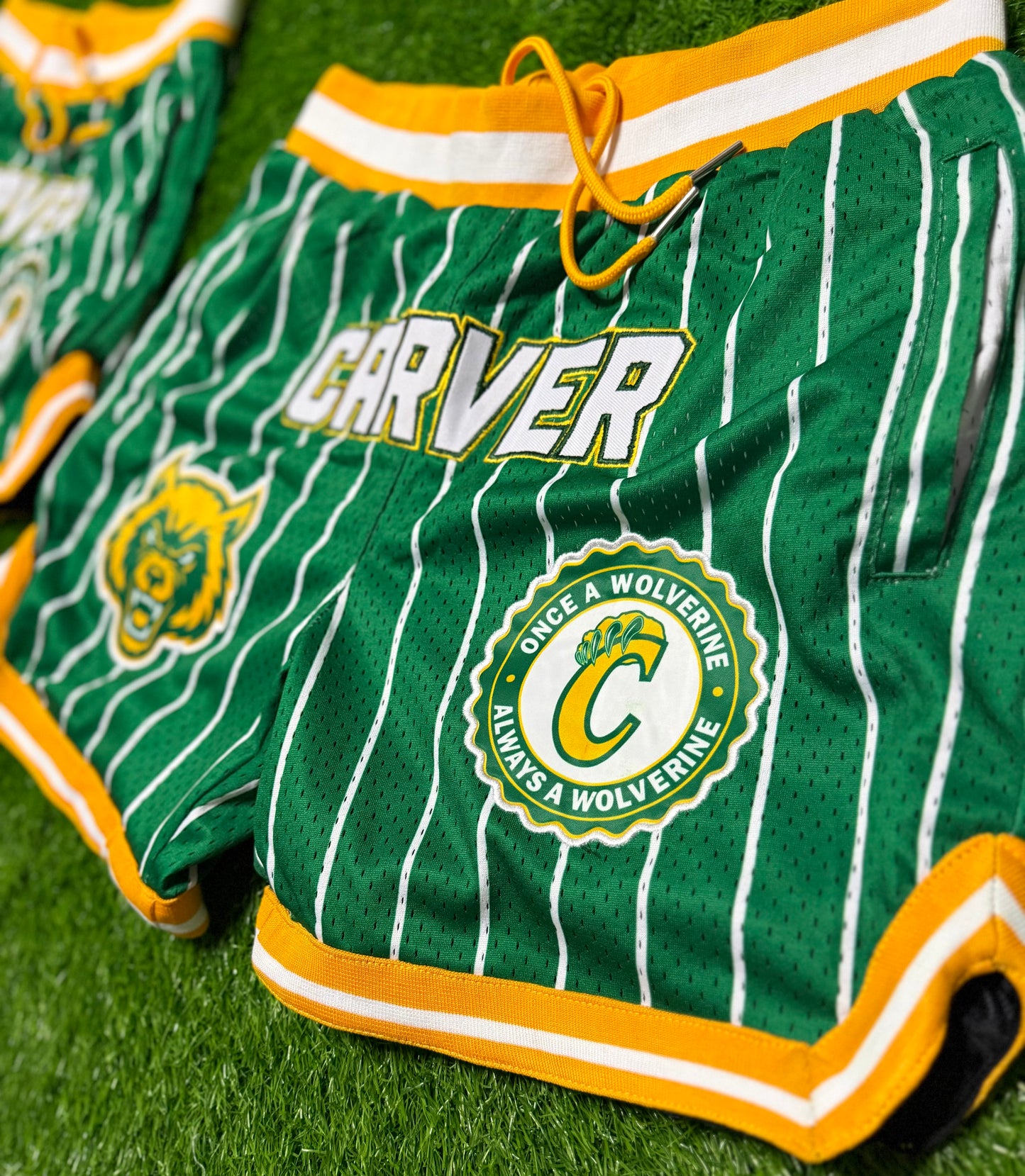 Carver Classic Pinstripe Shorts