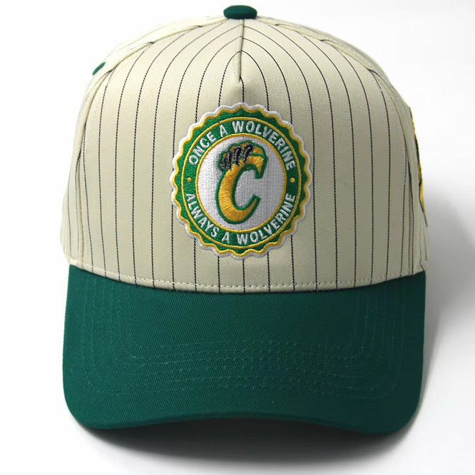 Carver Series Vintage Pinstripe Hat