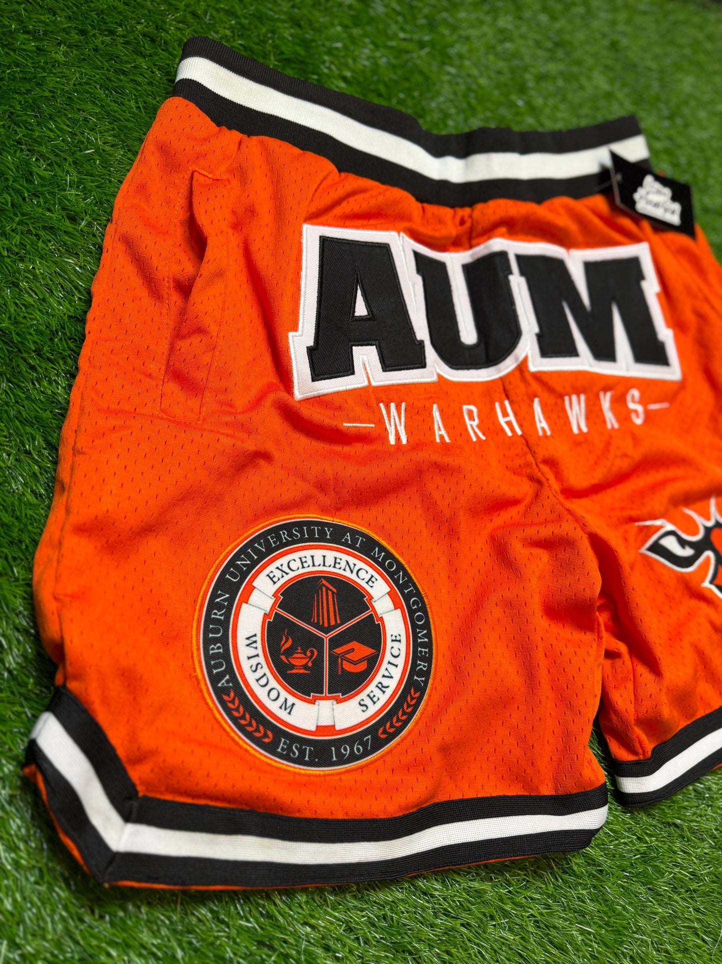 Halftime AUM Warhawks Vintage Shorts
