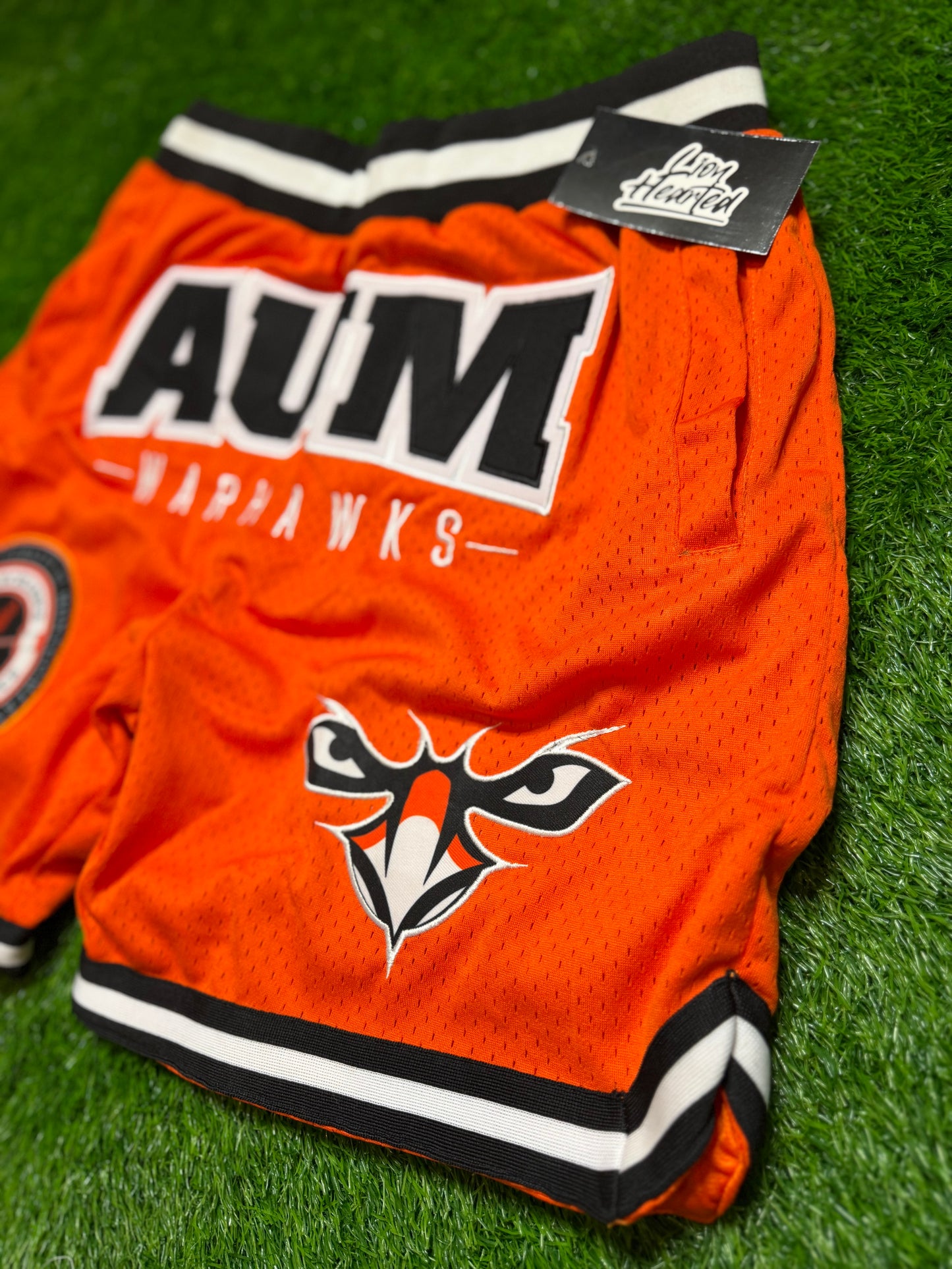Halftime AUM Warhawks Vintage Shorts