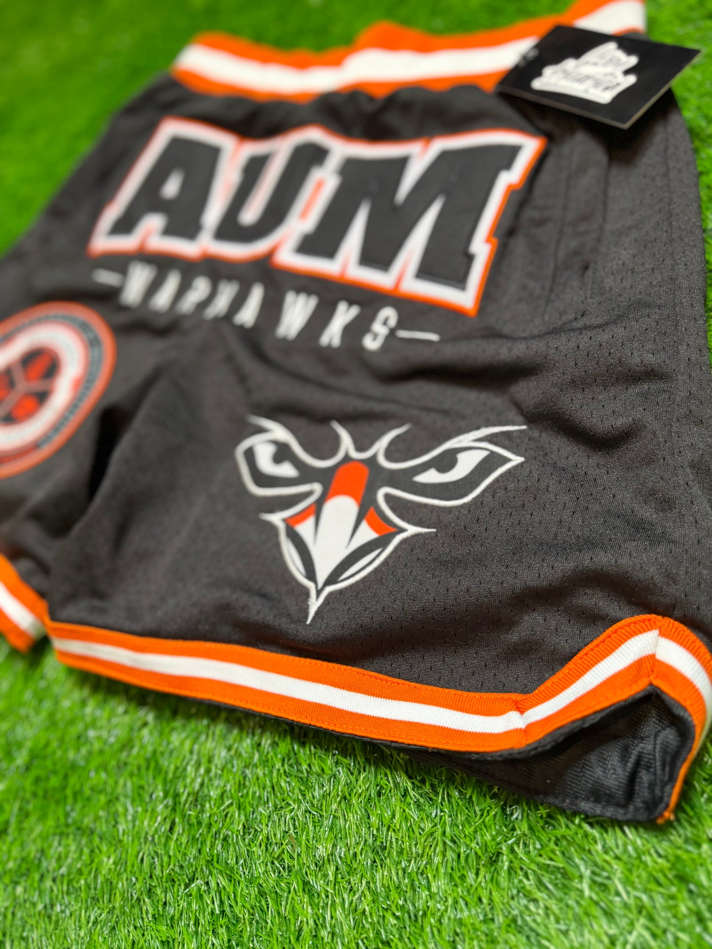 Halftime AUM Warhawks Vintage Shorts